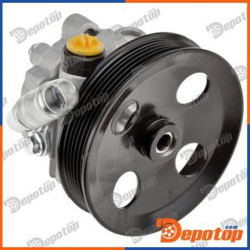 Pompe de direction assistée pour CHRYSLER | SPW-CH-040, DSP2424